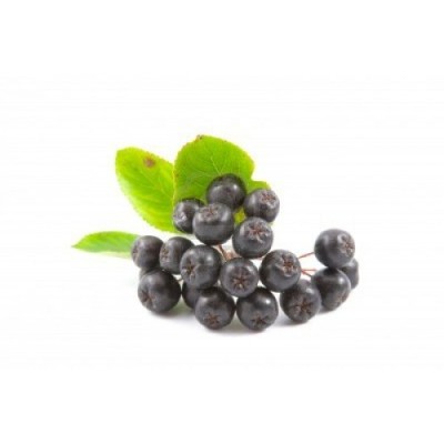 Aronia berries