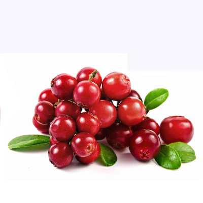 Cranberry