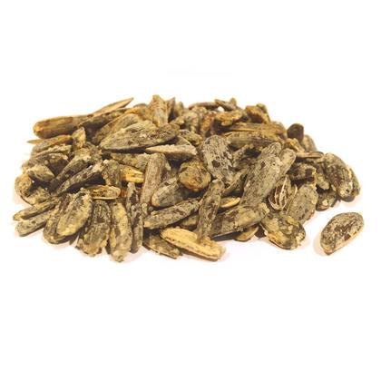 Ηλιόσπορος ψημένος