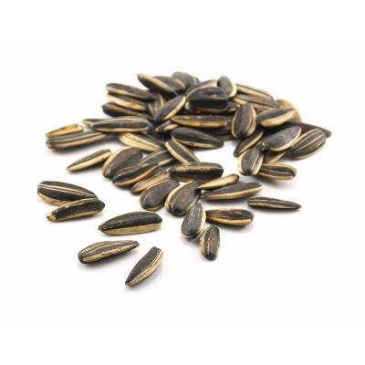 Ηλιόσπορος χωρίς αλάτι