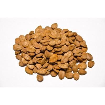 Πυρήνας βερίκοκο