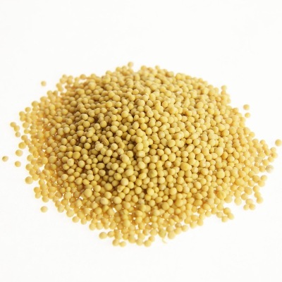 Σιναπόσπορος κίτρινος