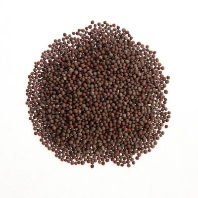 Σιναπόσπορος μαύρος