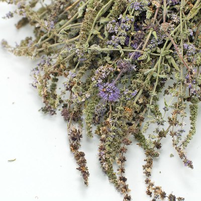 Φλισκούνι (άγρια μέντα )