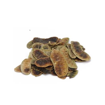 Φύλλα Αιγύπτου