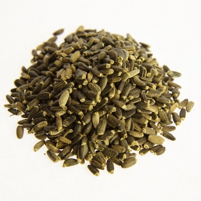 Γαιδουράγκαθο