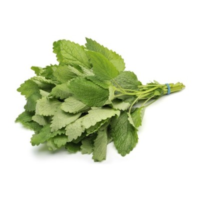 Μελισόχορτο